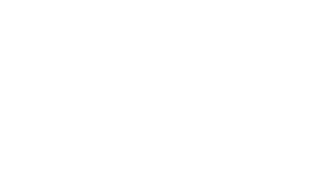 FGZ Holdings